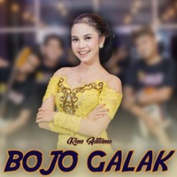Bojo Galak - Single - Rina Aditama