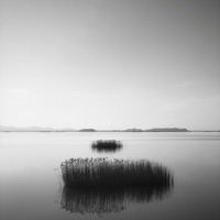 Confidence - Single - Monoquartz & silent notion