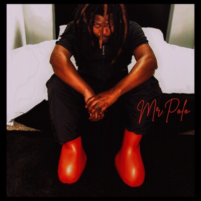 Mr. Polo - Single