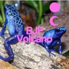 Volcano cover art