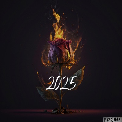 2025 (feat. Prisma) [Radio Edit] - Single