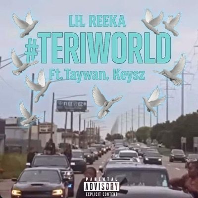 Teri World (feat. Taywan & Keysz) - Single