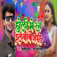 Holi Me Rang Dalbabe Aiha - Single - Sandeep Pyare & Pari Bharti