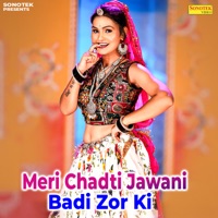 Meri Chadti Jawani Badi Zor Ki - Single - Shivani