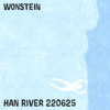 Wonstein - Han River 220625 artwork