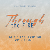 Through the Fire (Live) song art