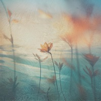 Humility - Single - Patrick Spatz, Simon Wester & inamomentimalive