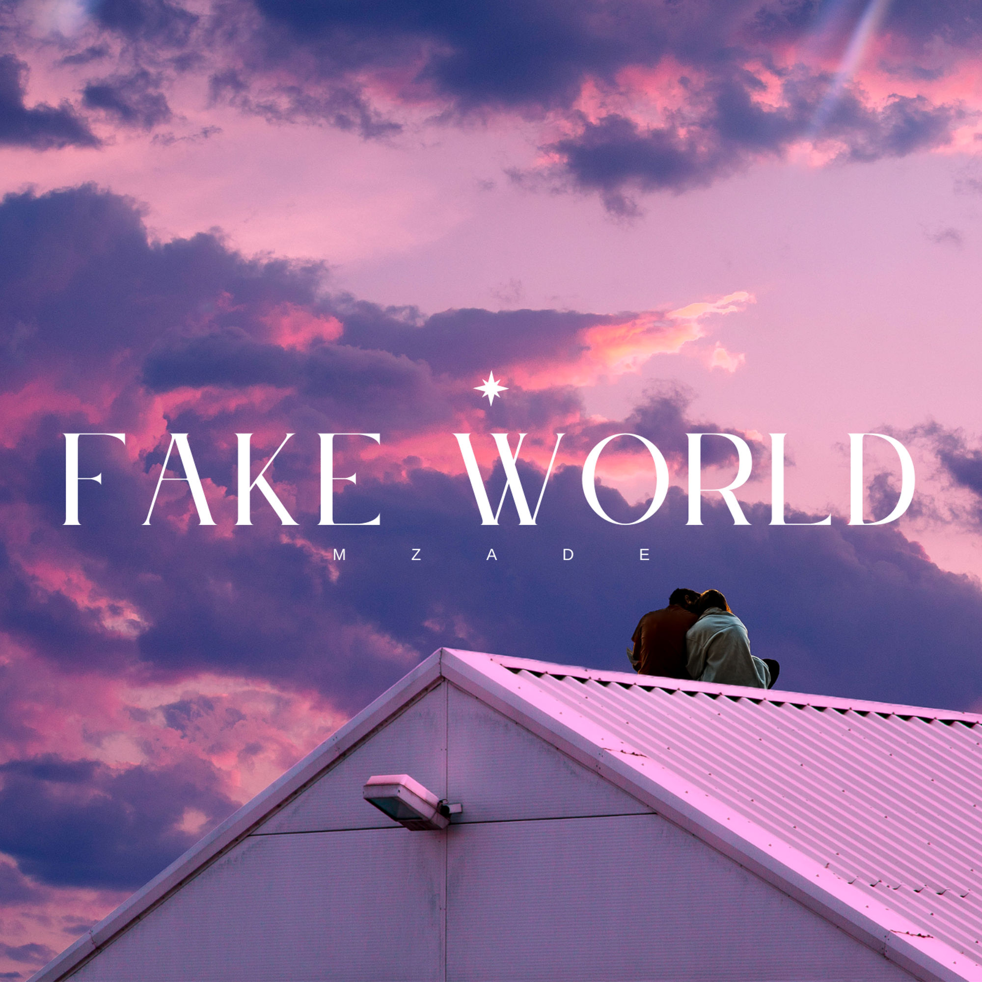 Fake World - Single
