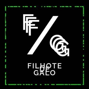 FILHOTE DE GALO
