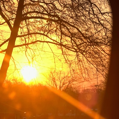 Prospect. (feat. Loneisdeath) - Single