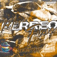 Mega Perreo Fino - Single - romancitodj