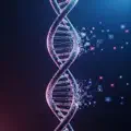 DNA