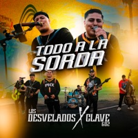 Todo a la Sorda - Single - Los Desvelados & Clave 602