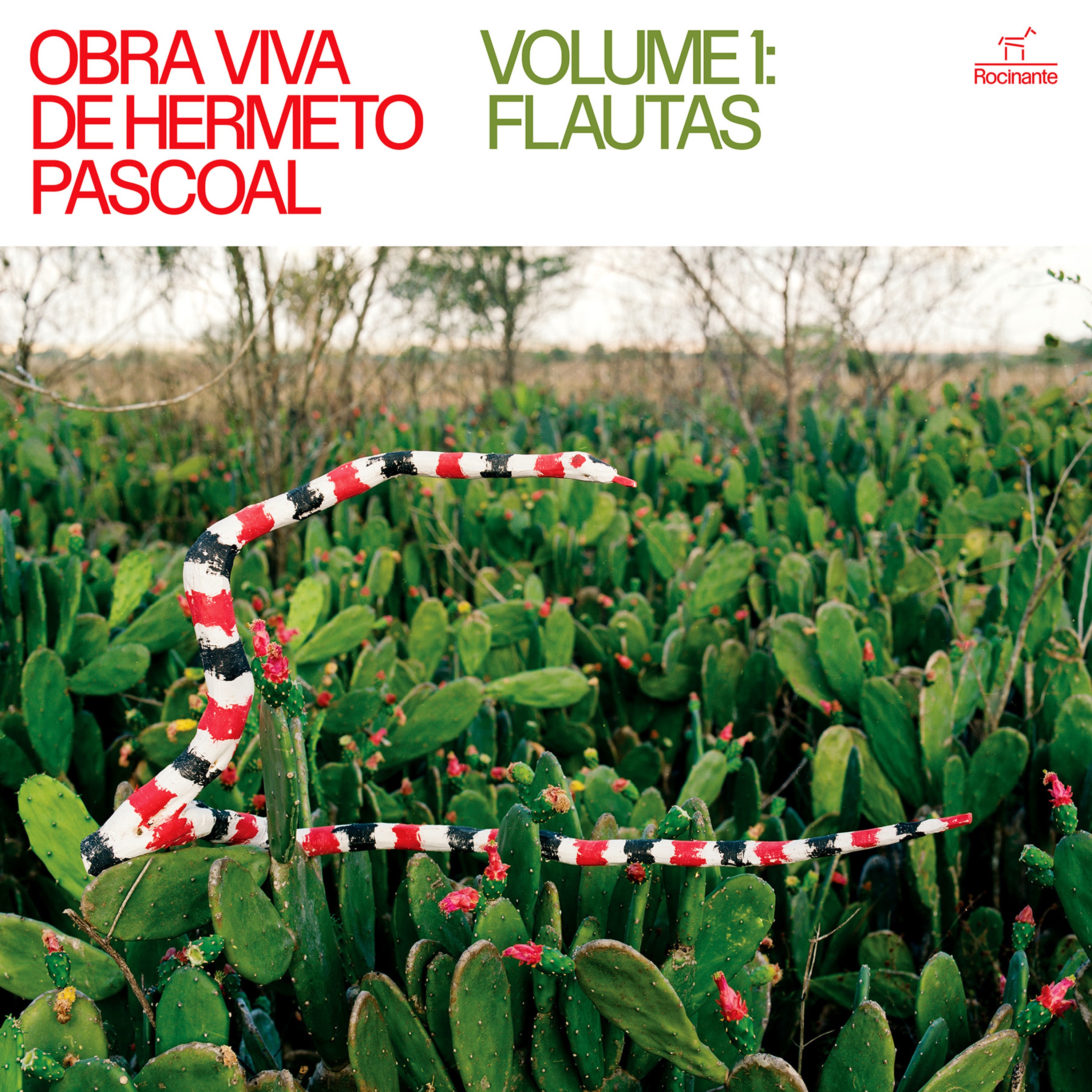 Obra viva de Hermeto Pascoal – Vol 1: flautas