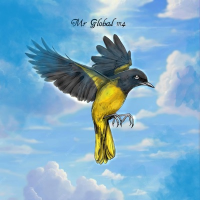 Mr Global1114 - EP