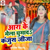 Ara Ke Mela Ghumada A Kanjus Jija - Single - Aashish Singh Mantu