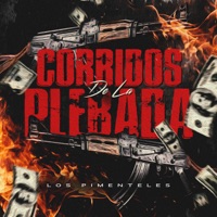 Corridos De La Plebada - Los Pimenteles