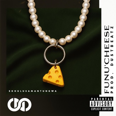 FunuCheese - Single