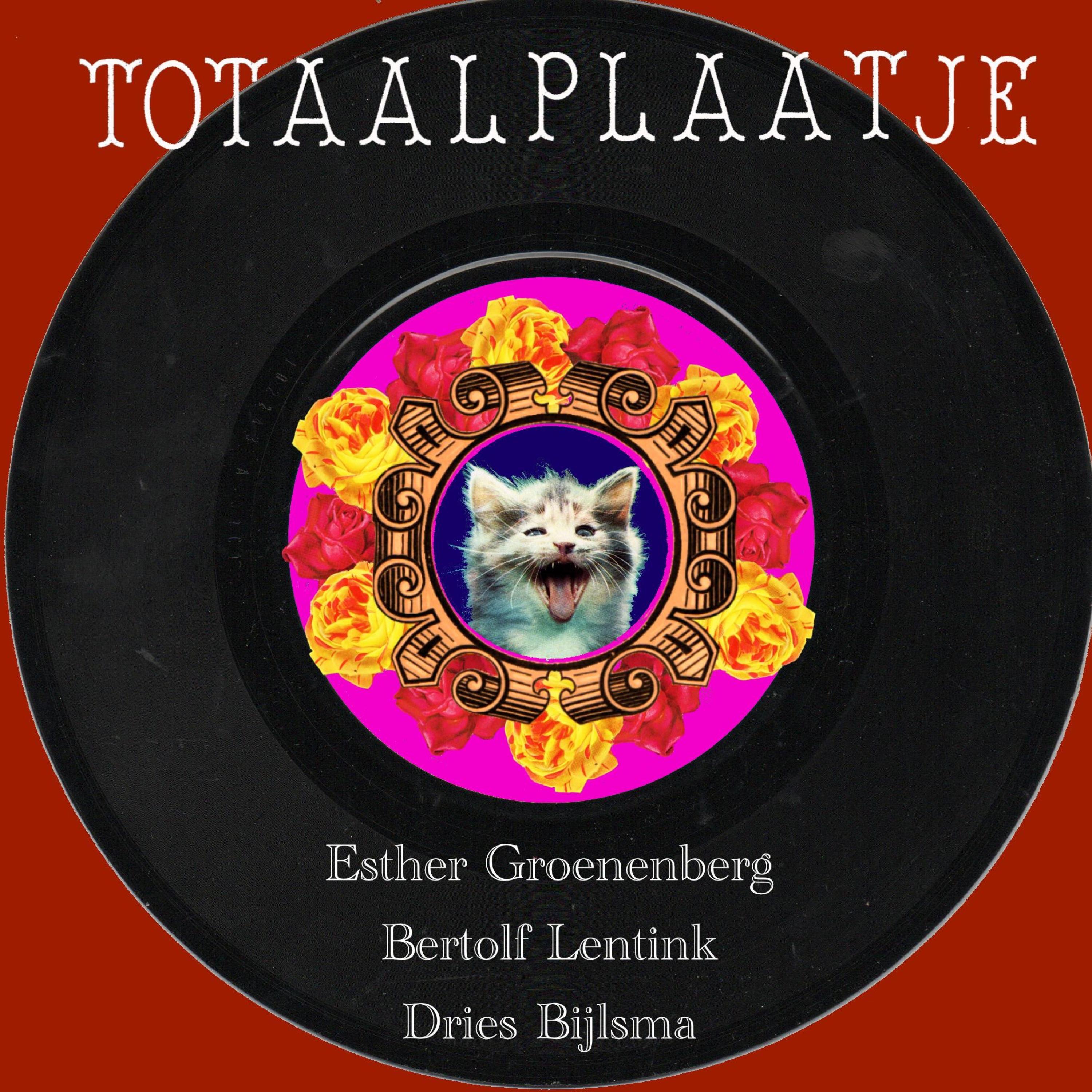 Totaalplaatje - Single