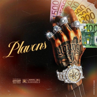 Plavons - Single