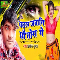Chadhal Jawani Chhau Tora Ge - Single - Pramod Gupta