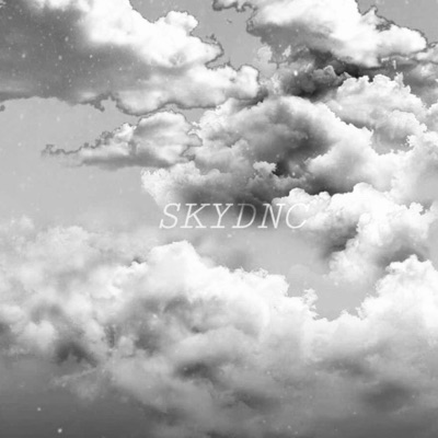SKYDNC. (feat. SIHN) - Single
