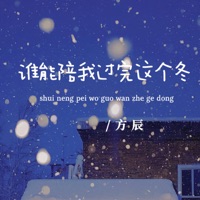 谁能陪我过完这个冬 - Single - 方辰
