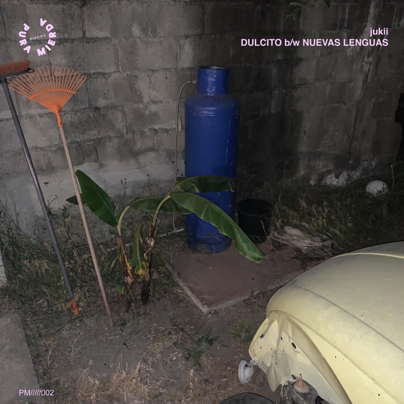 Dulcito / Nuevas Lenguas - Single