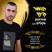 מחרוזת שקטים artwork