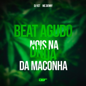 Beat Agudo Nois Na Onda da Maconha (Slowed)