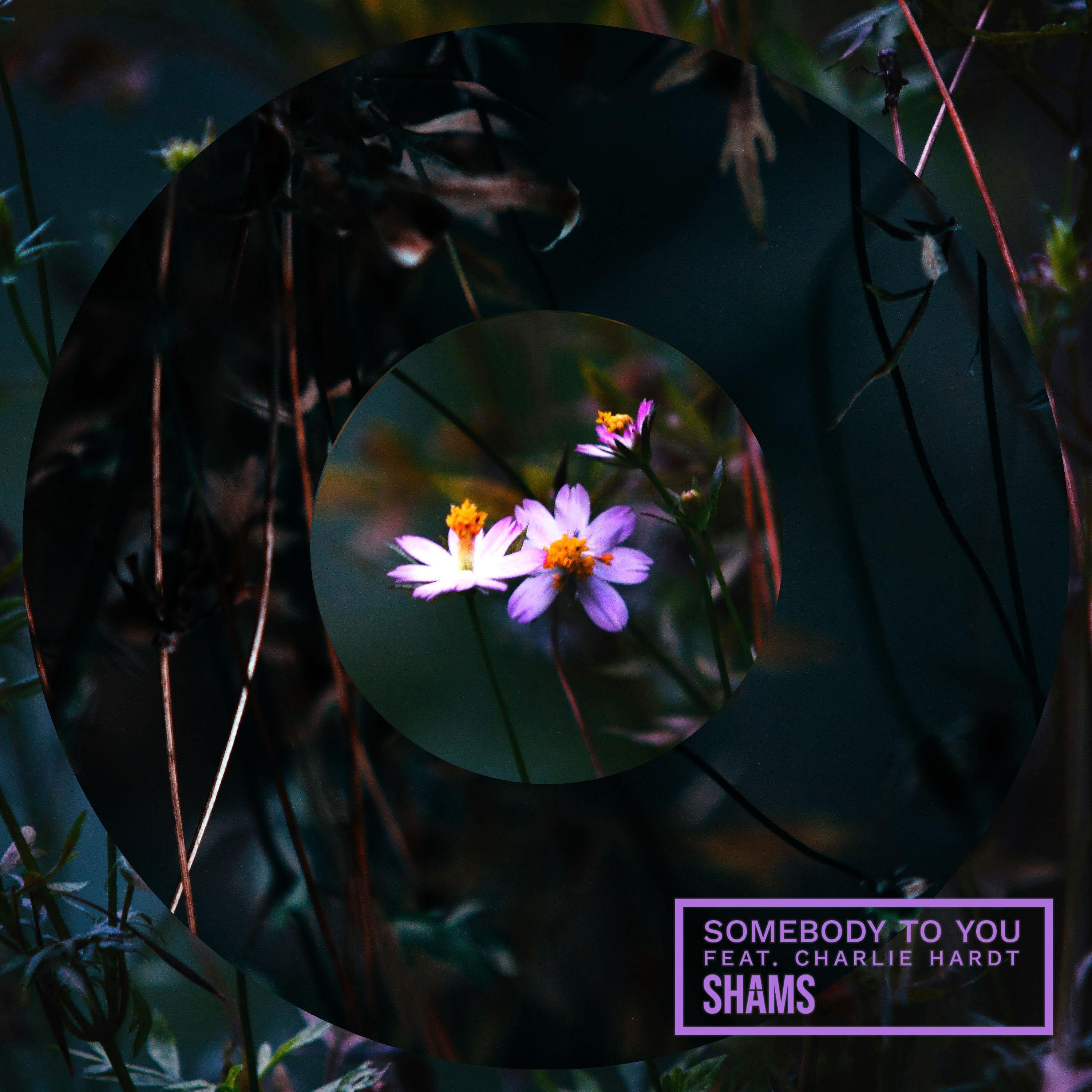 Somebody to You - Single