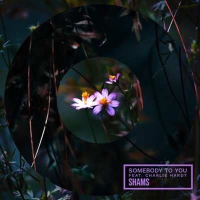 Somebody to You - Single