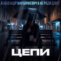 Цепи - Single - Не Ради Денег & Aleksandr Martsinkevich