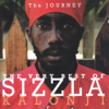 Sizzla - Be Strong artwork