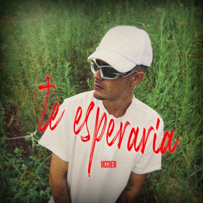 Te Esperaría - Single