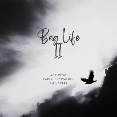 Bag Life II (feat. Pablo Skywalkin & Iso Gavele) - Single