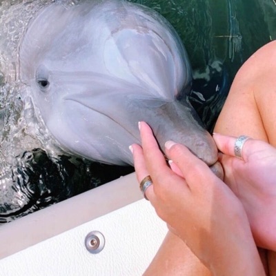 BADD - Symphony (Dolphin Meme) [Slowed + Reverb]