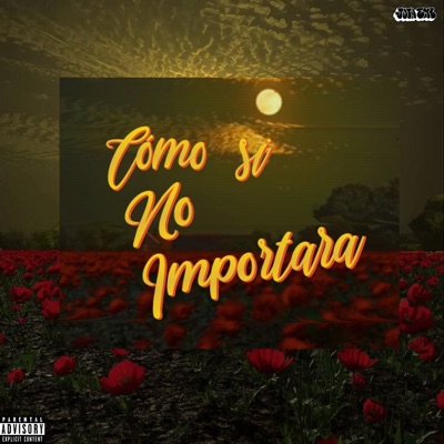 Cómo Si No Importara - Single