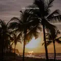 Horizon Haze