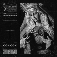 CORO DESTROZADO (feat. Y$57 & Blackwill) - Single - Ace Shadows