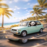 Panda nella Panda