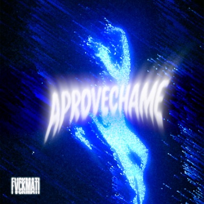 Aprovechame - Single