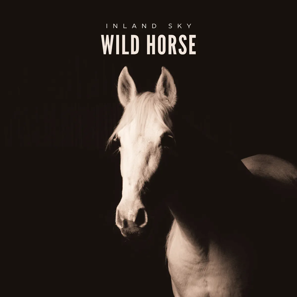 Inland Sky - Wild Horse - EP (2024) [iTunes Plus AAC M4A]-新房子