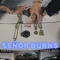 Señor Burns (feat. El Choro Nico) - Single - Lucas Zambrano