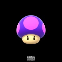 Shrooms (feat. Playboii Nova) - Single - Young N Fly