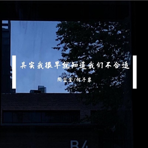 其实我很早就知道我们不合适 - Single