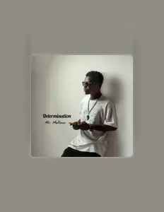 收听 Mr Mellow、观看音乐视频、阅读小传、查看巡演日期等 ！