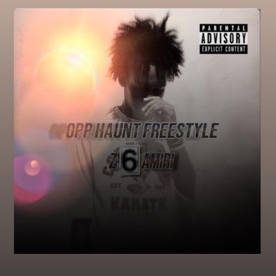 Opp Haunt Freestyle (feat. Z6Amiri) - Single