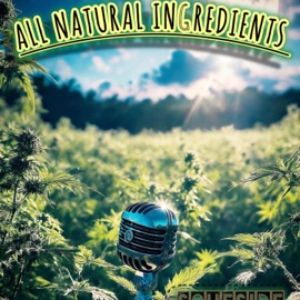 Transition SoufSide Code