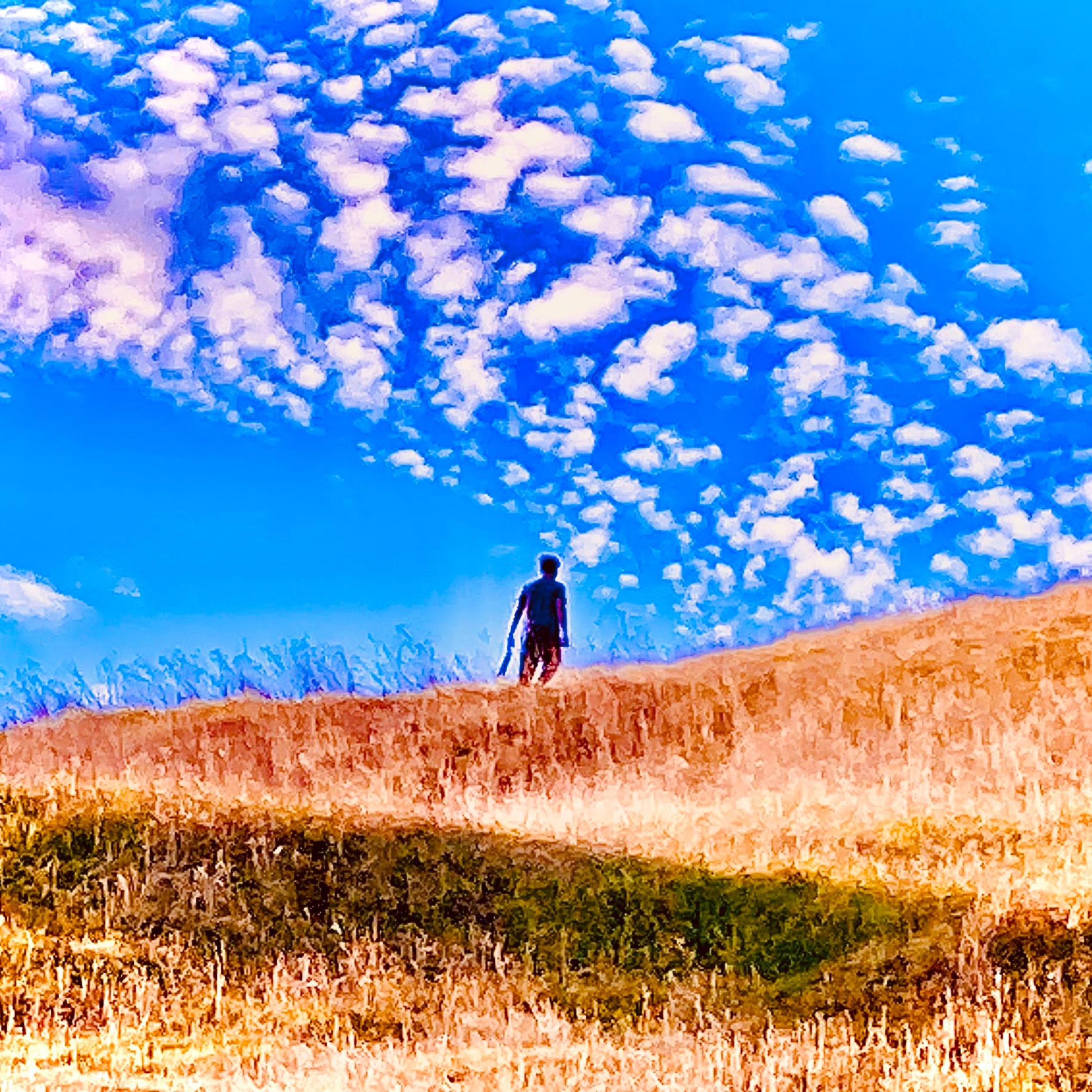 in the key of dissonance major